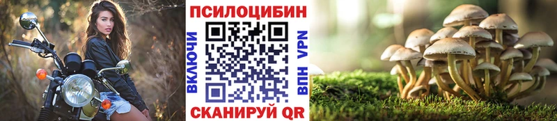 блэк спрут сайт  Елец  Псилоцибиновые грибы GOLDEN TEACHER 
